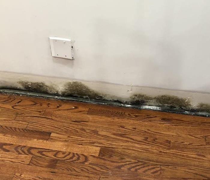 Old wood floors with mold on walls