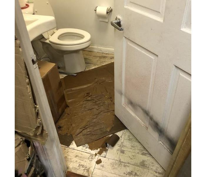 bathroom with sewage on floor