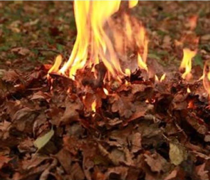 Pile of leaves on fire.