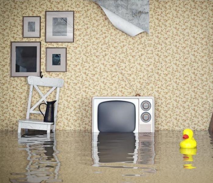 Water in a living room with a tv and chair